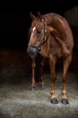 Fotografie, Grafikdesign Salzburg
