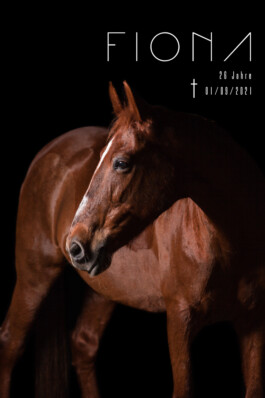 Fotografie, Grafikdesign Salzburg