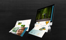 Fotografie, Grafikdesign Salzburg