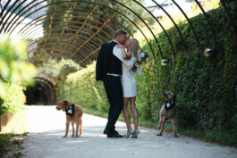 Fotografie, Grafikdesign Salzburg