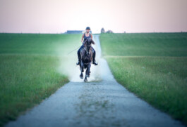Fotografie, Grafikdesign Salzburg