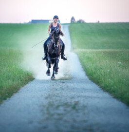 Fotografie, Grafikdesign Salzburg