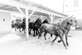 Fotografie, Grafikdesign Salzburg