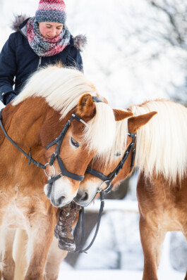 Fotografie, Grafikdesign Salzburg