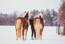 Fotografie, Grafikdesign Salzburg