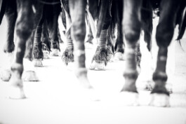 Fotografie, Grafikdesign Salzburg