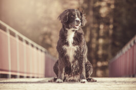 Fotografie, Grafikdesign Salzburg