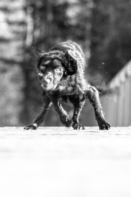 Fotografie, Grafikdesign Salzburg