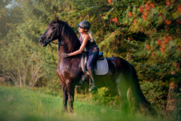 Fotografie, Grafikdesign Salzburg
