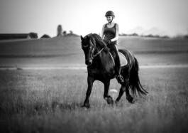 Fotografie, Grafikdesign Salzburg