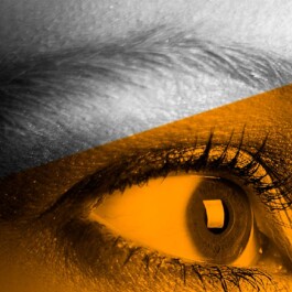  Fotografie, Grafikdesign Salzburg