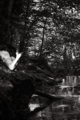 Fotografie, Grafikdesign Salzburg