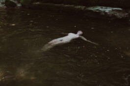 Fotografie, Grafikdesign Salzburg