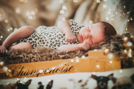 Fotografie, Grafikdesign Salzburg