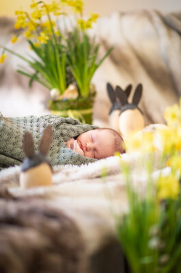 Fotografie, Grafikdesign Salzburg