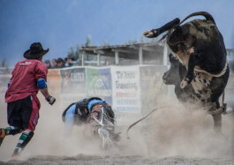 Fotografie, Grafikdesign Salzburg