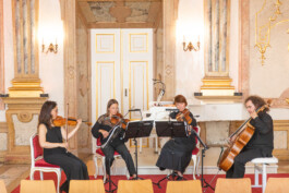 Fotografie, Grafikdesign Salzburg