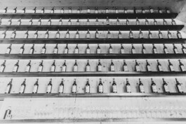 Fotografie, Grafikdesign Salzburg