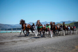 Fotografie, Grafikdesign Salzburg