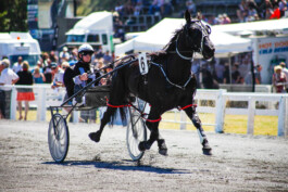 Fotografie, Grafikdesign Salzburg