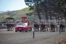 Fotografie, Grafikdesign Salzburg