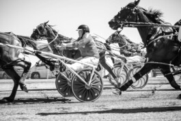 Fotografie, Grafikdesign Salzburg