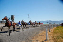 Fotografie, Grafikdesign Salzburg