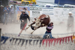 Fotografie, Grafikdesign Salzburg