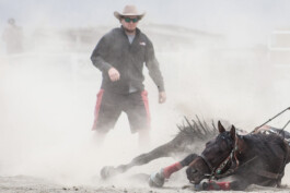 Fotografie, Grafikdesign Salzburg