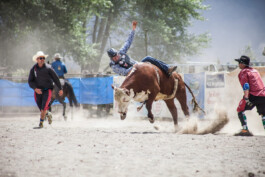 Fotografie, Grafikdesign Salzburg
