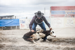 Fotografie, Grafikdesign Salzburg