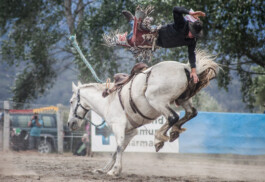 Fotografie, Grafikdesign Salzburg