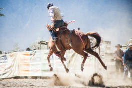 Fotografie, Grafikdesign Salzburg