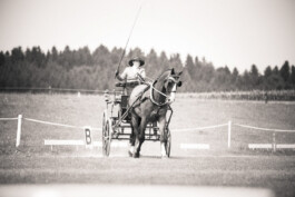 Fotografie, Grafikdesign Salzburg