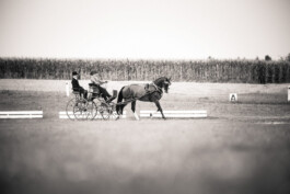 Fotografie, Grafikdesign Salzburg