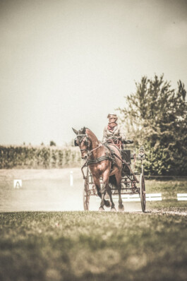 Fotografie, Grafikdesign Salzburg