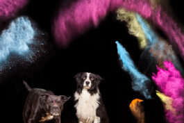 Fotografie, Grafikdesign Salzburg