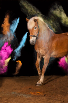 Fotografie, Grafikdesign Salzburg