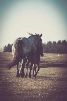 Fotografie, Grafikdesign Salzburg