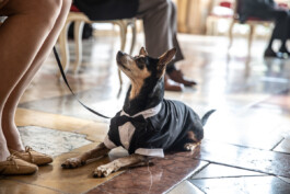 Fotografie, Grafikdesign Salzburg