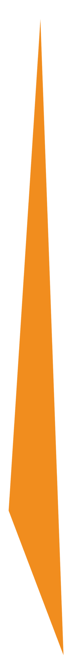 Fotografie, Grafikdesign Salzburg