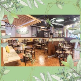 Fotografie, Grafikdesign Salzburg