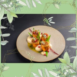 Fotografie, Grafikdesign Salzburg