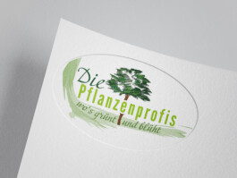 Fotografie, Grafikdesign Salzburg