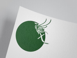 Fotografie, Grafikdesign Salzburg