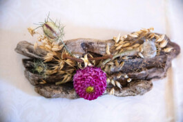 Fotografie, Grafikdesign Salzburg