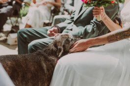 Fotografie, Grafikdesign Salzburg