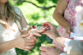 Fotografie, Grafikdesign Salzburg