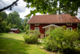 Fotografie, Grafikdesign Salzburg