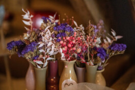 Fotografie, Grafikdesign Salzburg